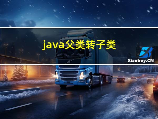 java父类转子类的相关图片