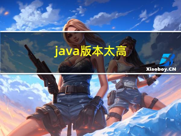 java版本太高的相关图片