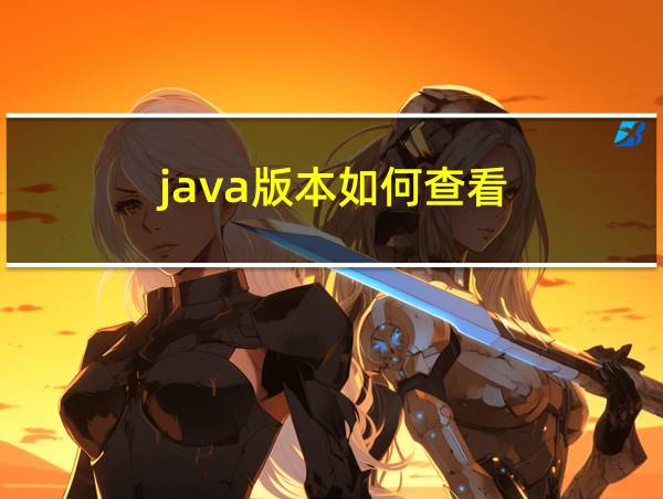 java版本如何查看的相关图片