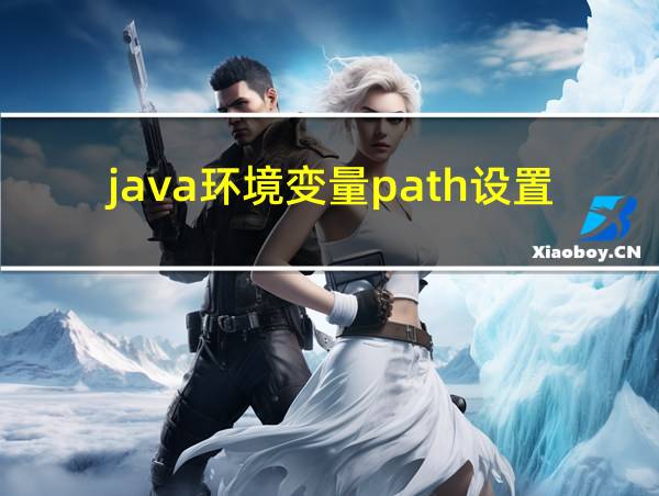 java环境变量path设置的相关图片