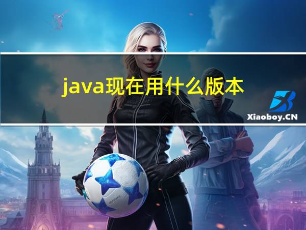 java现在用什么版本的相关图片