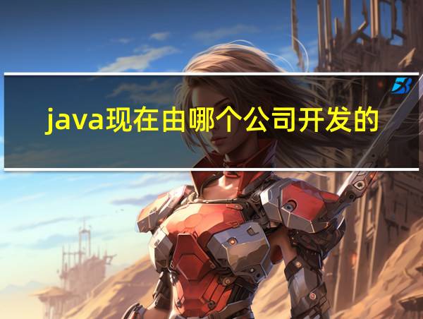 java现在由哪个公司开发的的相关图片