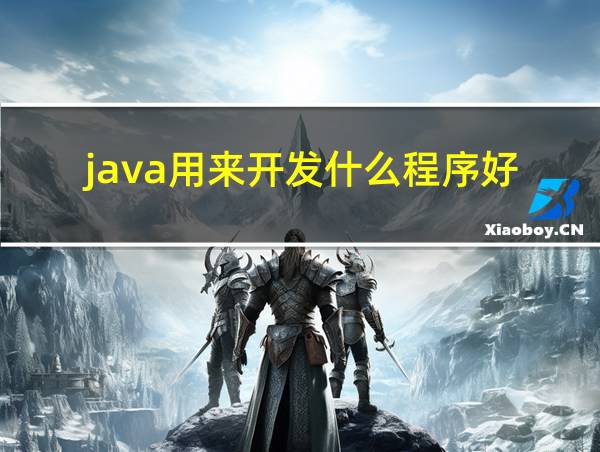 java用来开发什么程序好的相关图片