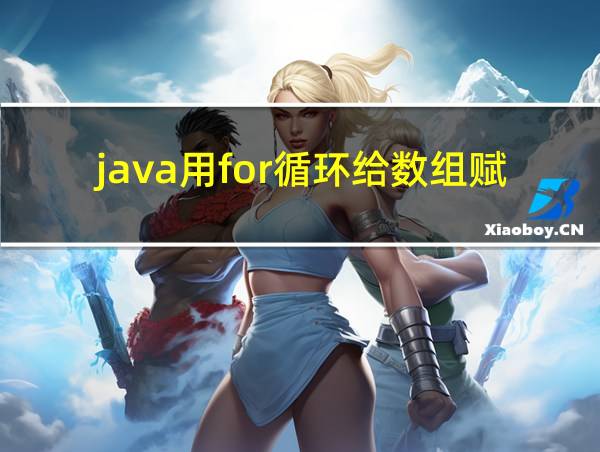 java用for循环给数组赋值的相关图片