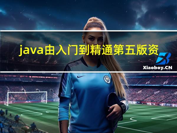 java由入门到精通第五版资源的相关图片