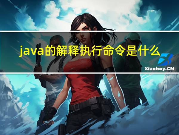 java的解释执行命令是什么的相关图片