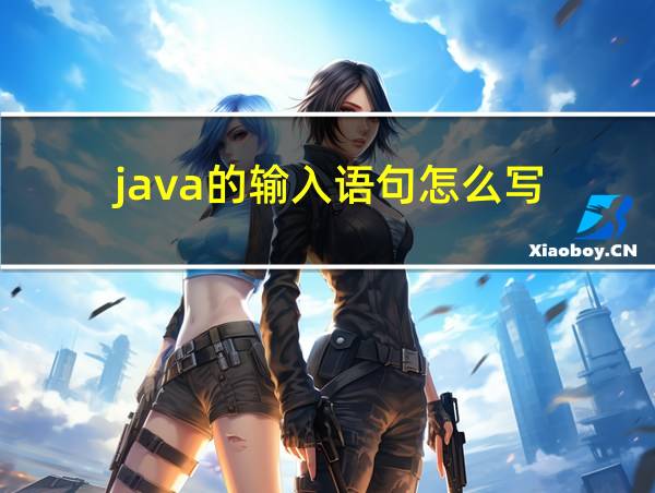 java的输入语句怎么写的相关图片