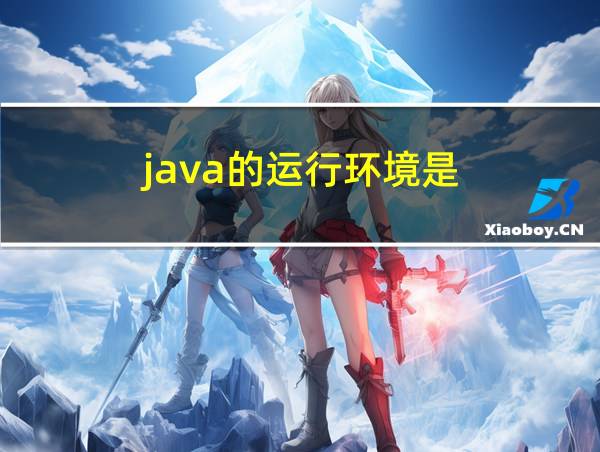 java的运行环境是的相关图片