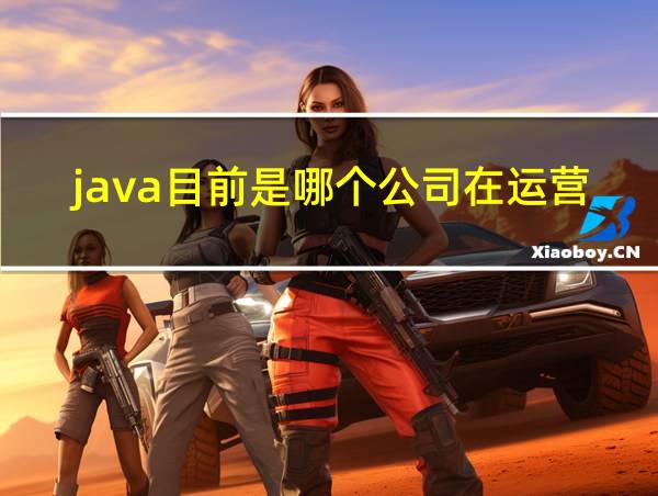 java目前是哪个公司在运营的相关图片