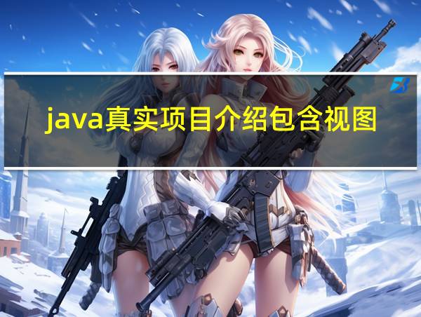 java真实项目介绍包含视图的相关图片