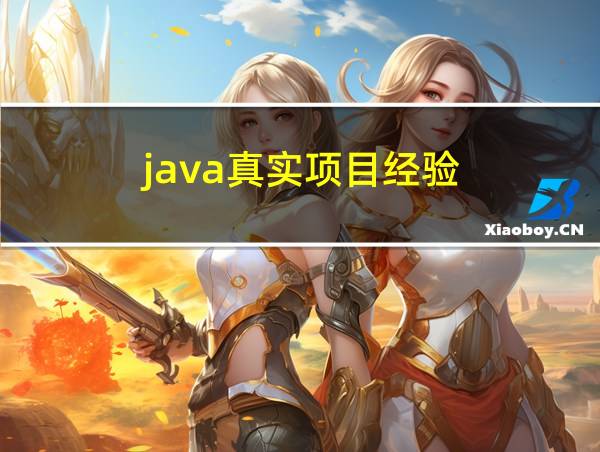 java真实项目经验的相关图片