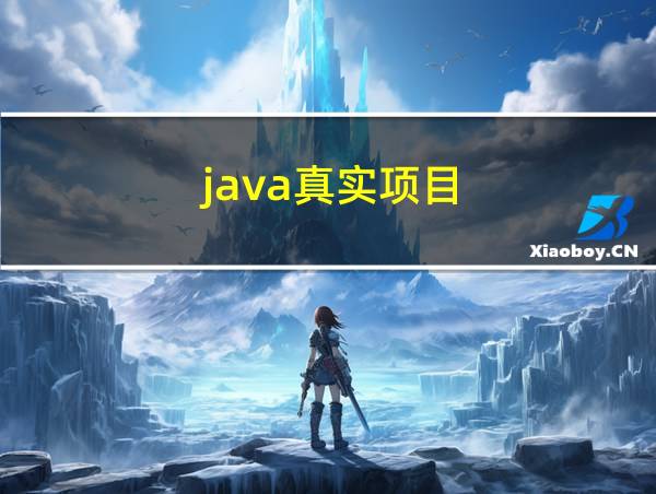 java真实项目的相关图片