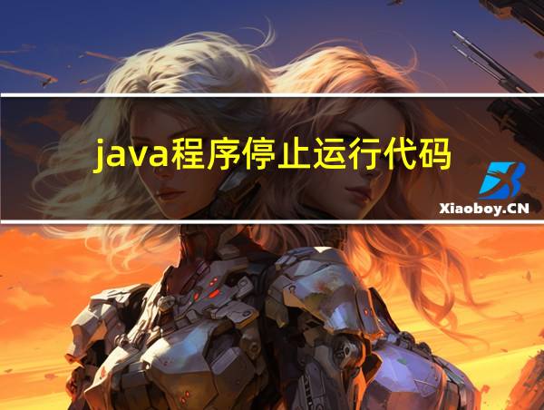 java程序停止运行代码的相关图片