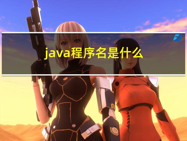 java程序名是什么的相关图片