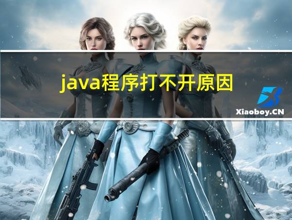 java程序打不开原因的相关图片