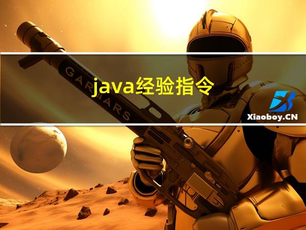 java经验指令的相关图片