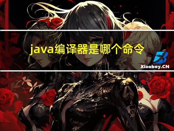 java编译器是哪个命令的相关图片