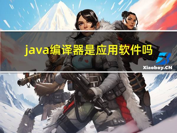 java编译器是应用软件吗的相关图片