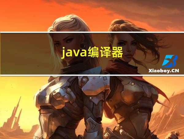 java编译器的相关图片