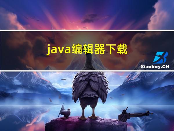 java编辑器下载的相关图片