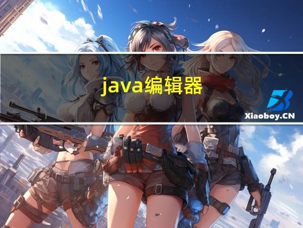 java编辑器的相关图片