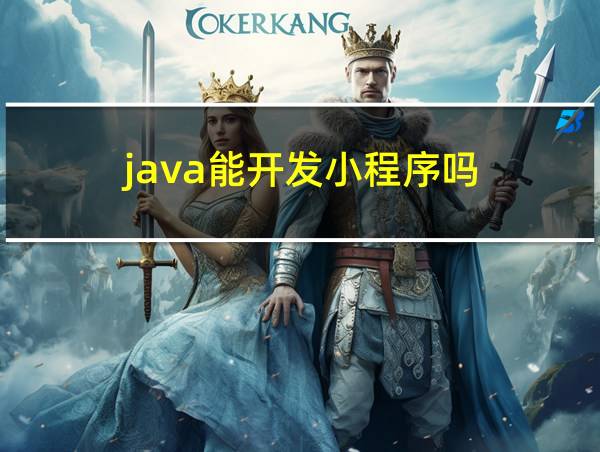 java能开发小程序吗的相关图片