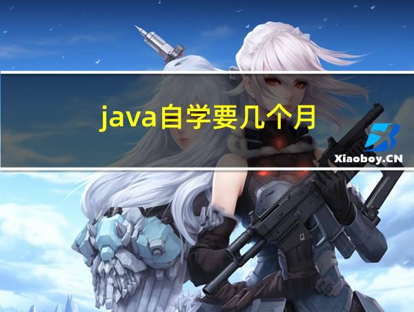 java自学要几个月的相关图片