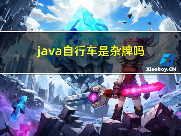 java自行车是杂牌吗的相关图片