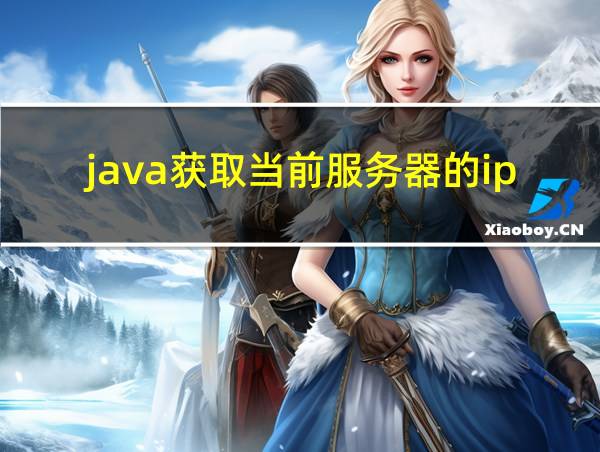 java获取当前服务器的ip的相关图片