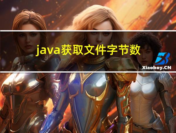 java获取文件字节数的相关图片