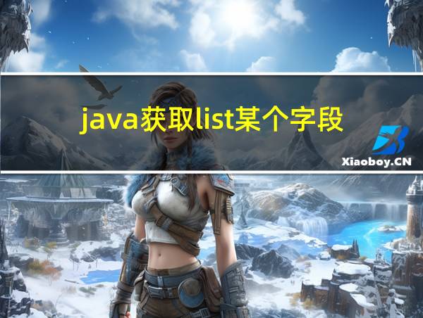 java获取list某个字段的值的相关图片