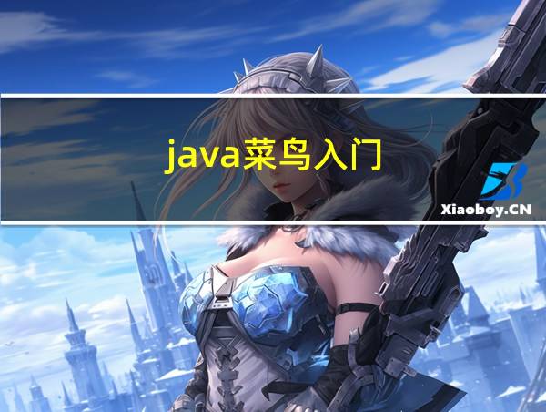 java菜鸟入门的相关图片