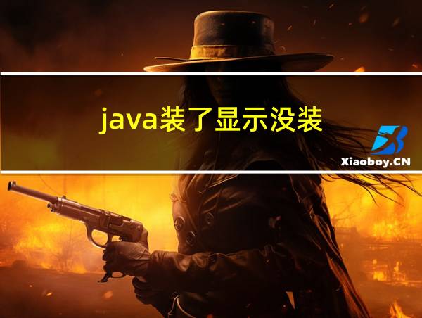 java装了显示没装的相关图片