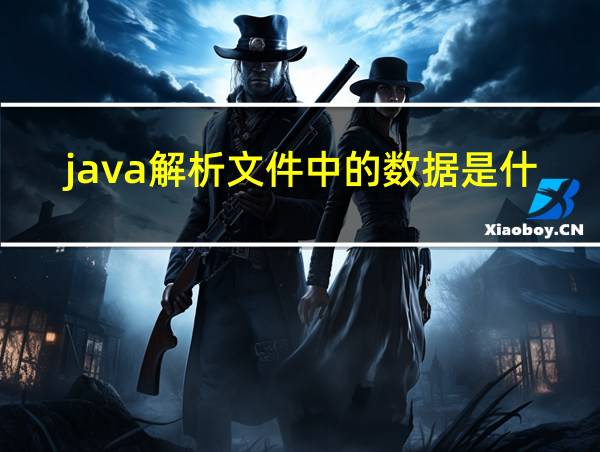 java解析文件中的数据是什么的相关图片