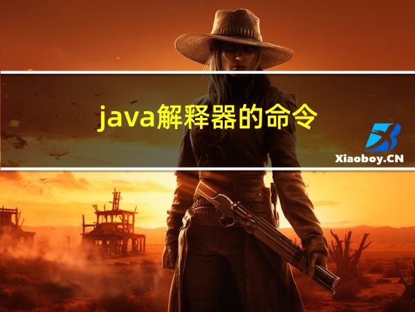 java解释器的命令的相关图片