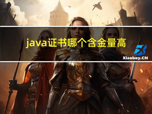 java证书哪个含金量高的相关图片