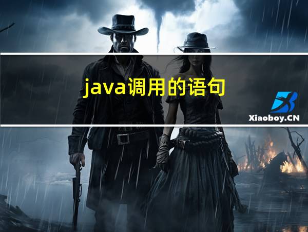 java调用的语句的相关图片