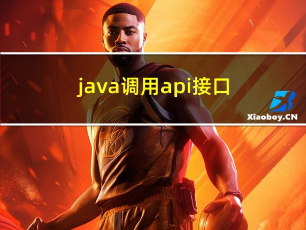 java调用api接口的相关图片