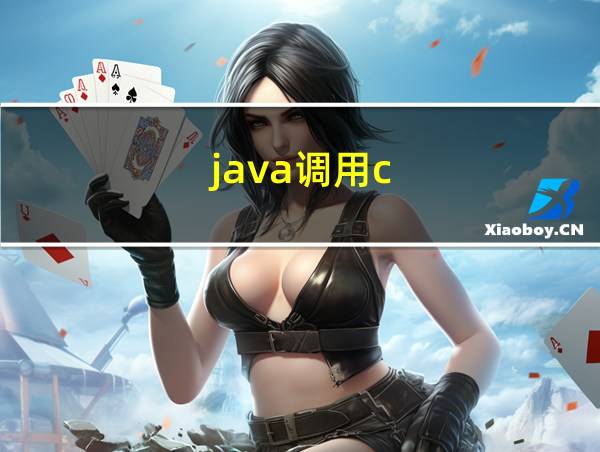 java调用c  程序的相关图片