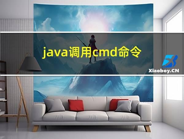 java调用cmd命令的相关图片