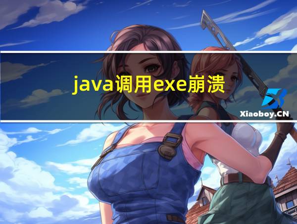 java调用exe崩溃的相关图片