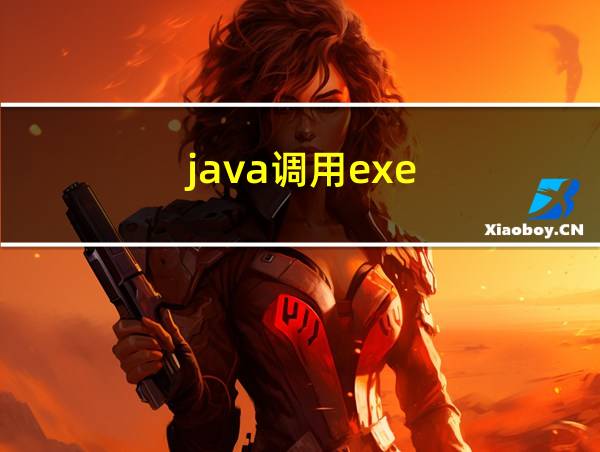 java调用exe的相关图片