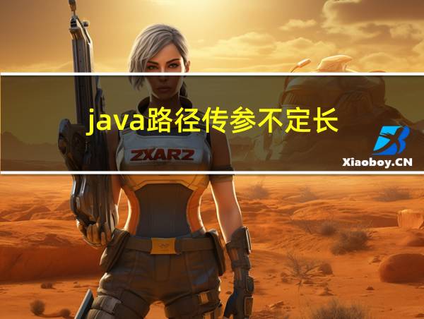 java路径传参不定长的相关图片