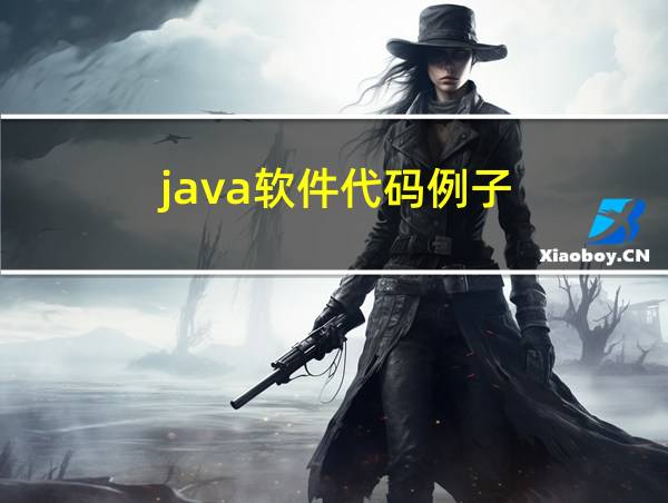 java软件代码例子的相关图片