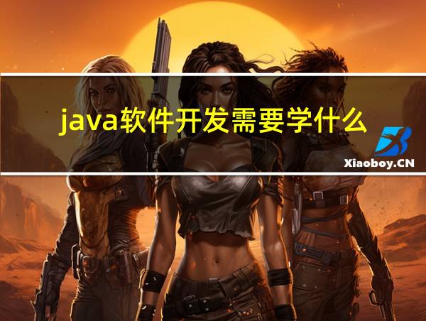 java软件开发需要学什么的相关图片