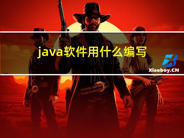 java软件用什么编写的相关图片