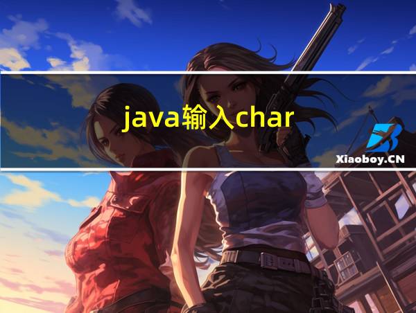 java输入char的相关图片