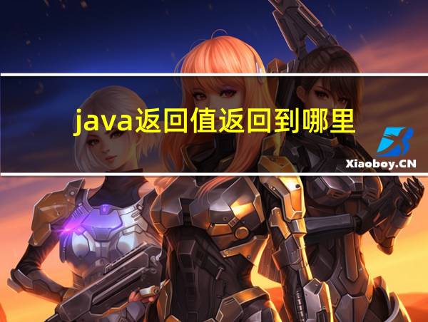 java返回值返回到哪里的相关图片