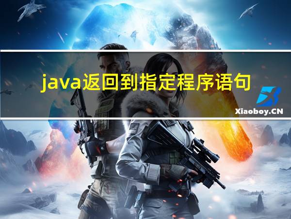 java返回到指定程序语句的相关图片