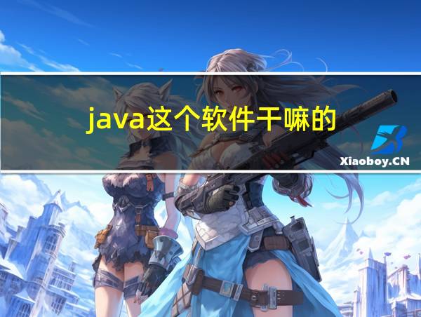 java这个软件干嘛的的相关图片